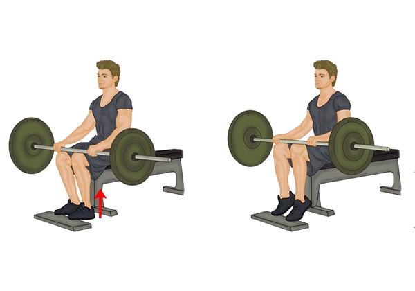 Barbell Seated Calf Raise
