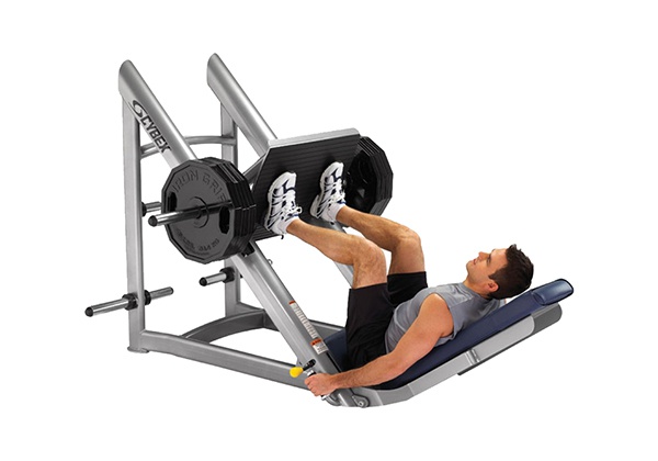 Bài tập Leg Press