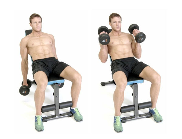 Incline Hammer Curl hỗ trợ cơ bắp tay to cuồn cuộn
