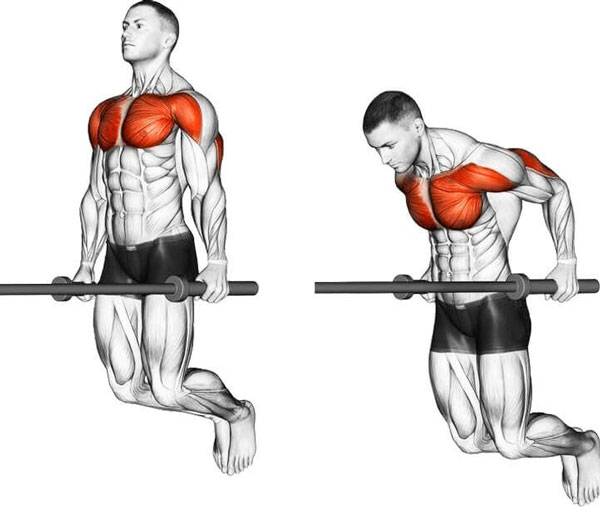 Paraller Bar Dip là bài tập với xà kép giúp phát triển cơ bắp tay sau rất hiệu quả