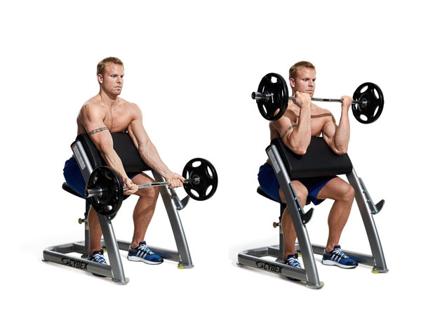 Thực hành bài tập Preacher Curl đúng cách giúp phát triển cơ bắp tay cực tốt