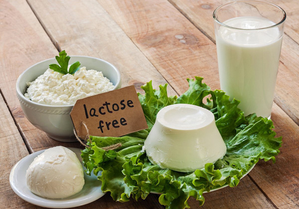 Lactose là gì? Công dụng của Lactose đối với sức khỏe là gì ?