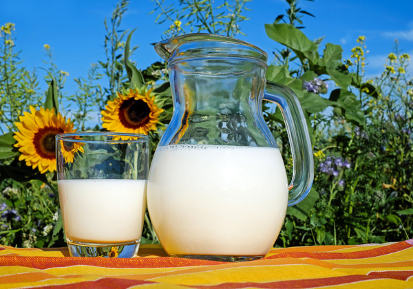 Làm sao để giảm cân bằng sữa tươi không đường nhanh nhất?