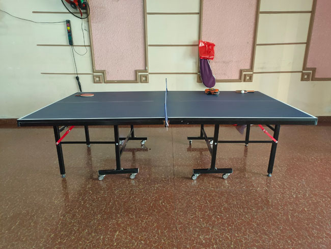 Bàn bóng bàn Thiên Trường PT-05