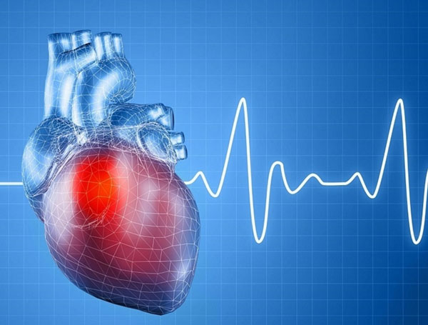 Chỉ số BPM là gì? Nhịp tim của người bình thường là bao nhiêu?