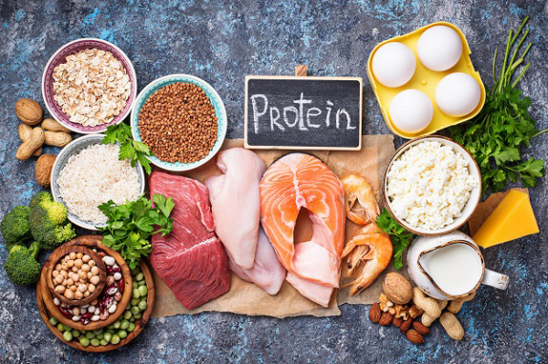 Protein có tác dụng gì? Thực phẩm nào giàu nhiều Protein?