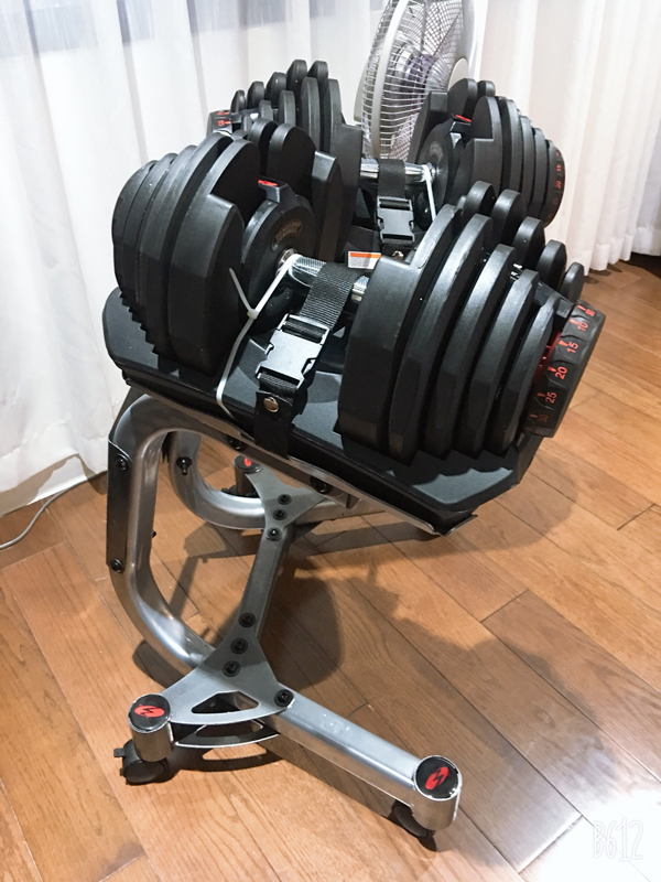 Tạ tay điều chỉnh Bowflex 1090