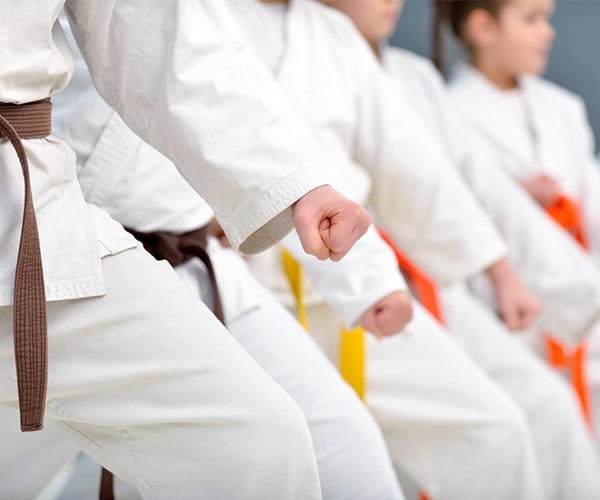 [Giải đáp] Karate có mấy đai? Các cấp bậc đai trong karate