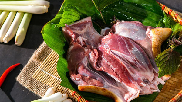 [Giải đáp] Thịt dê kỵ gì? Thực phẩm cần tránh khi ăn thịt dê
