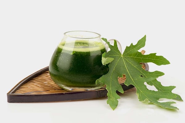 Uống nước lá đu đủ tươi có tác dụng gì?