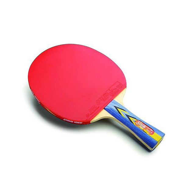 Vợt bóng bàn DHS 3002 chính hãng giá rẻ Thiên Trường Sport