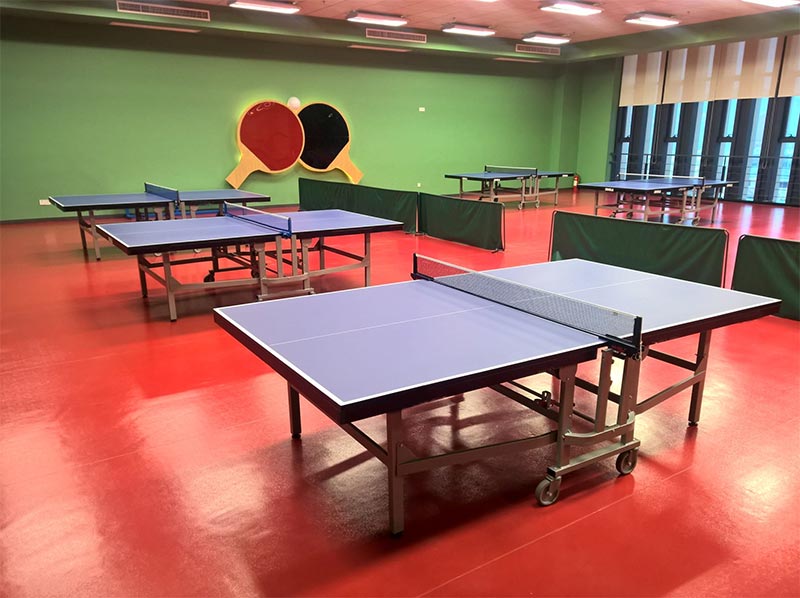 10 địa chỉ thuê sân bóng bàn TPHCM xịn sò chuẩn thi đấu
