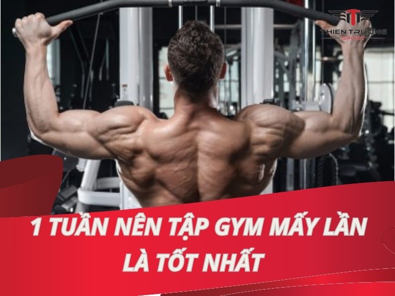 1 tuần nên tập Gym mấy lần là tốt nhất?