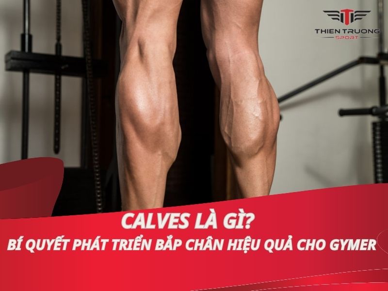 Calves là gì? Bí quyết phát triển bắp chân hiệu quả cho Gymer