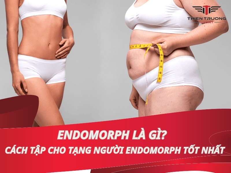 Endomorph là gì? Cách tập cho tạng người Endomorph tốt nhất