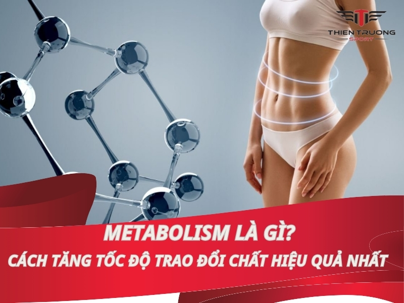 Metabolism là gì? Cách tăng tốc độ trao đổi chất hiệu quả nhất