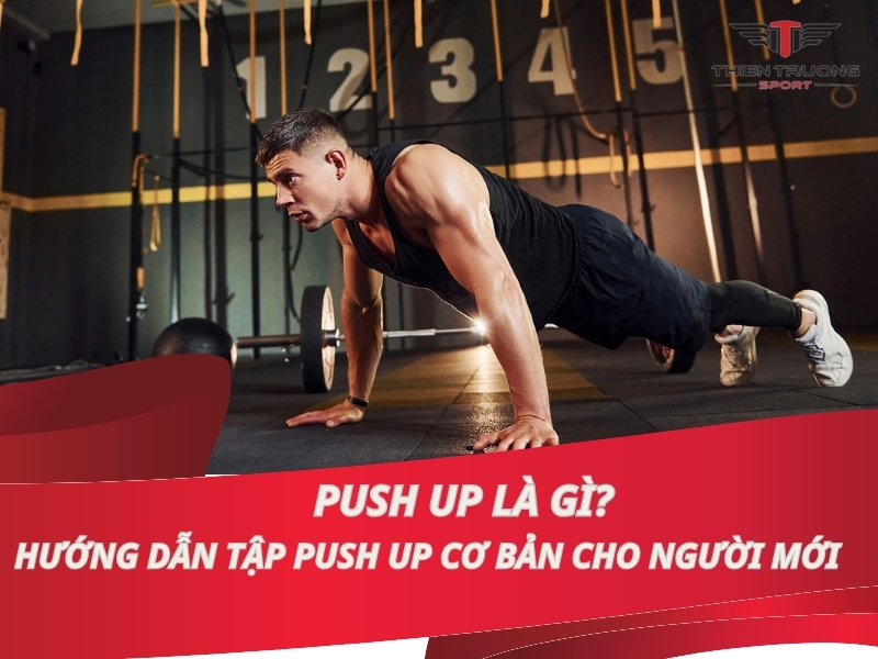 Push Up là gì? Hướng dẫn tập Push up cơ bản cho người mới