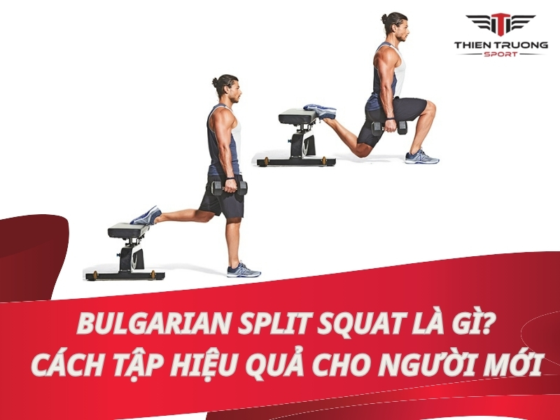 Bulgarian Split Squat là gì? Cách tập hiệu quả cho người mới