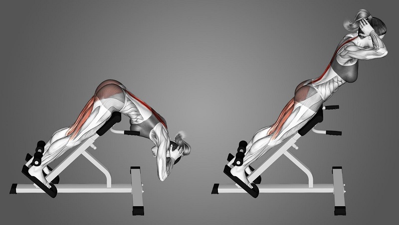 Bài tập Back Extension
