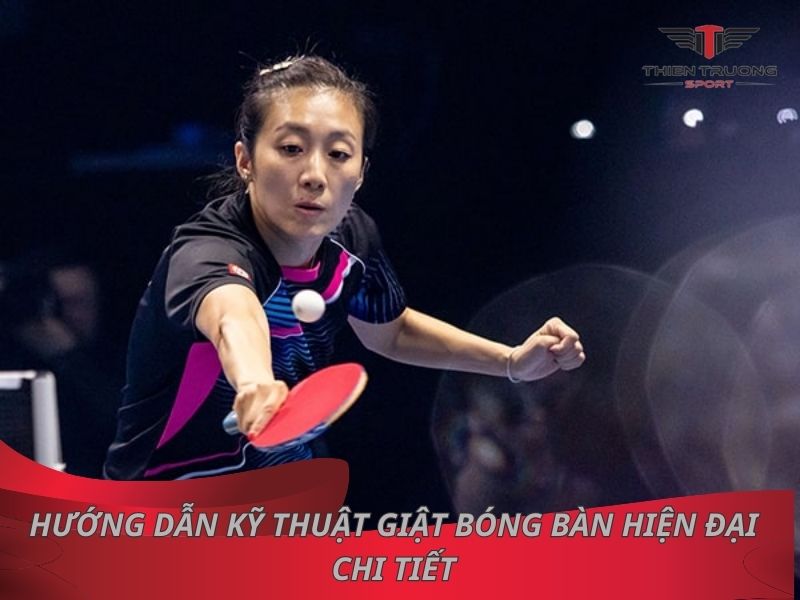 Bảng xếp hạng bóng bàn nữ thế giới | Top 10 tay vợt đỉnh cao