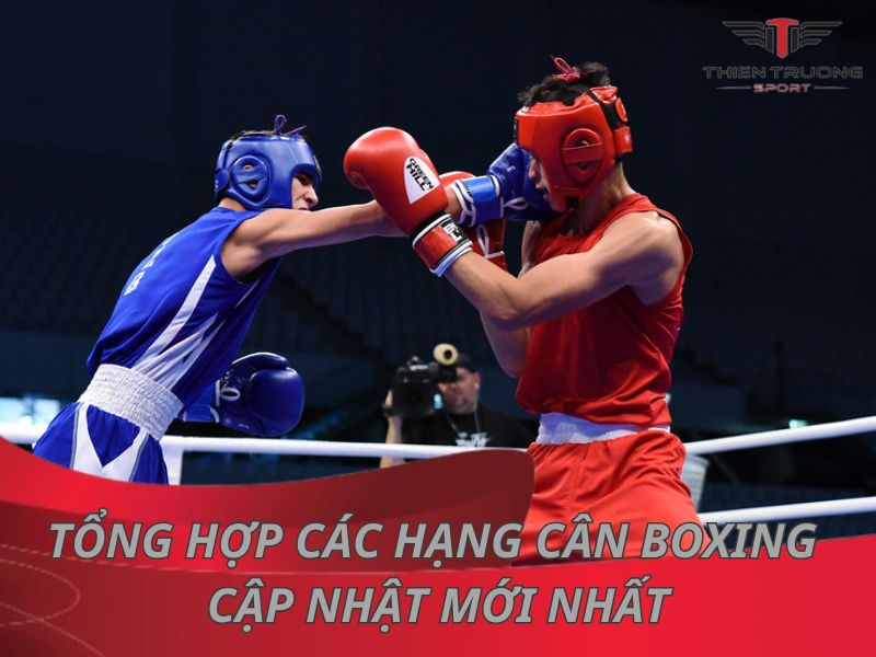 Tổng hợp các hạng cân boxing cập nhật mới nhất 2025