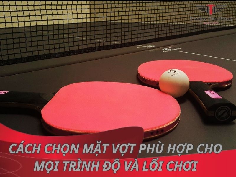 4 cách chọn mặt vợt phù hợp cho mọi trình độ và lối chơi 
