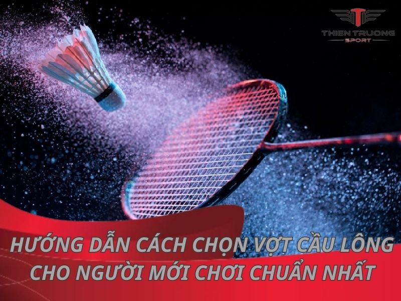 Hướng dẫn cách chọn vợt cầu lông cho người mới chơi chuẩn nhất