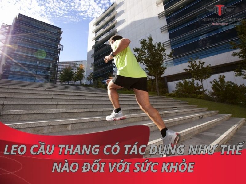 Leo cầu thang có tác dụng như thế nào đối với sức khỏe