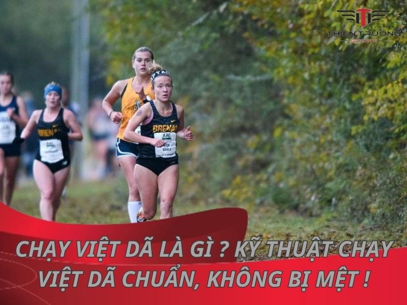 Chạy việt dã là gì ? Kỹ thuật chạy việt dã chuẩn, không bị mệt