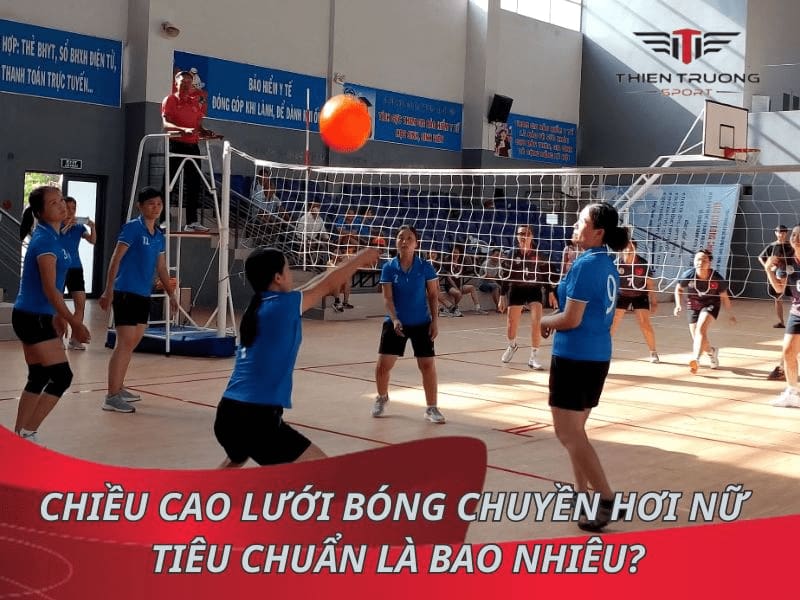 Chiều cao lưới bóng chuyền hơi nữ tiêu chuẩn là bao nhiêu?