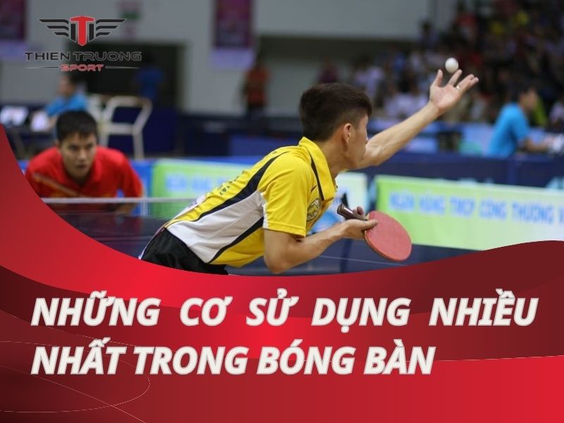 Khám phá những nhóm cơ sử dụng nhiều nhất trong bóng bàn