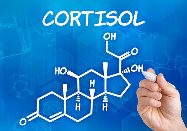 Cortisol là gì? Cortisol có ảnh hưởng ra sao với người tập Gym?