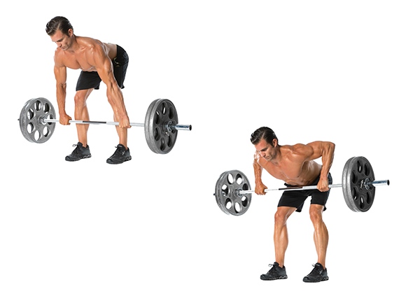 Bent Over Barbell Row là gì? Cách tập hiệu quả cho lưng giữa?