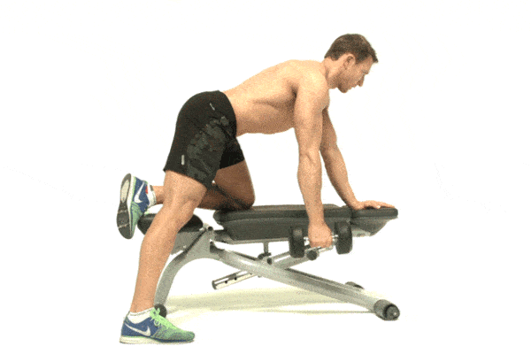 Best Bent-Over Barbell Row position for gym-goes to build muscles 