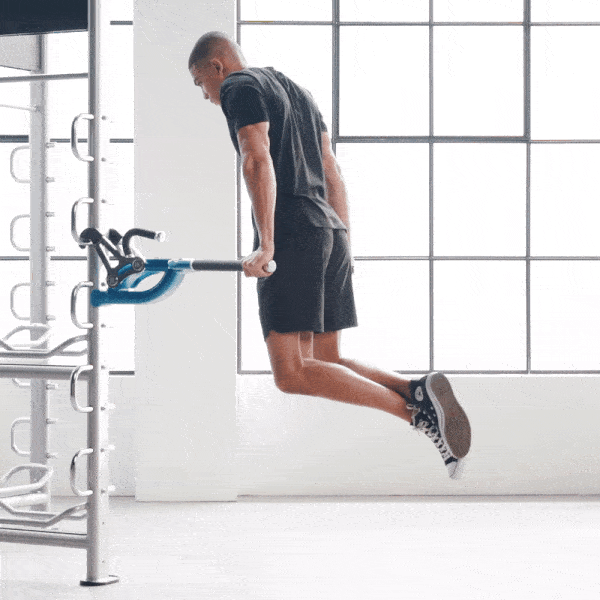 Parallel Bar Dips Everyday at James Healy blog