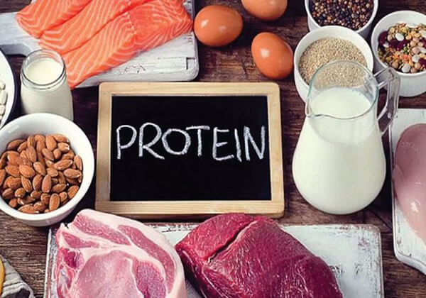 TOP 10 thực phẩm giàu protein ít calo tốt nhất cho các Gymer