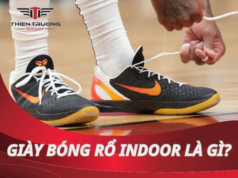 Giày bóng rổ indoor là gì? Đặc điểm và cách lựa chọn tốt nhất