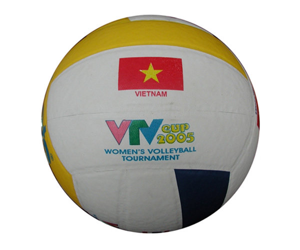 Bóng chuyền Động Lực da PVC in VTV DE201 giá rẻ Nhất !