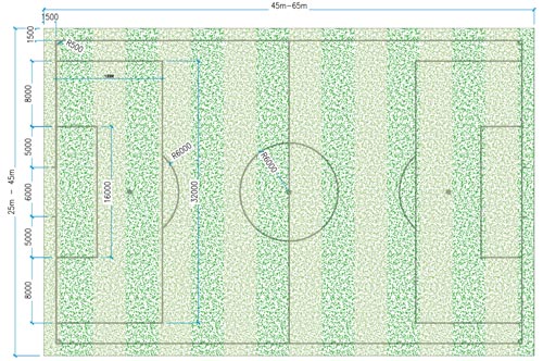 Kích thước sân bóng đá 5, 7, 11 người chuẩn FIFA bao nhiêu?