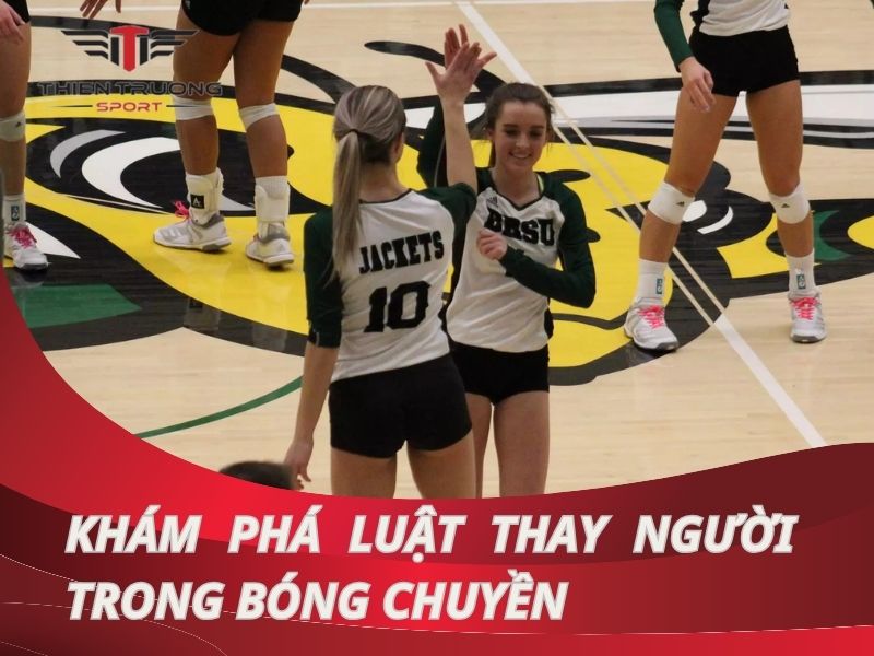 Khám phá tường tận về luật thay người trong bóng chuyền