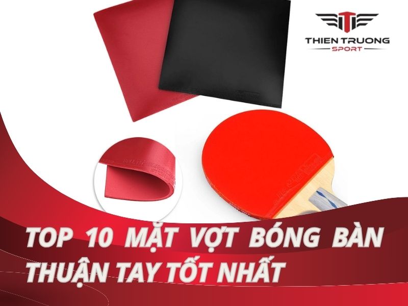 Khám phá Top 10 mặt vợt bóng bàn thuận tay tốt nhất cho bạn