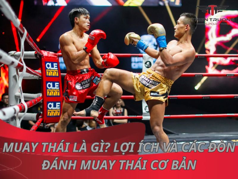 Muay Thái là gì? Lợi ích và các đòn đánh Muay Thái cơ bản