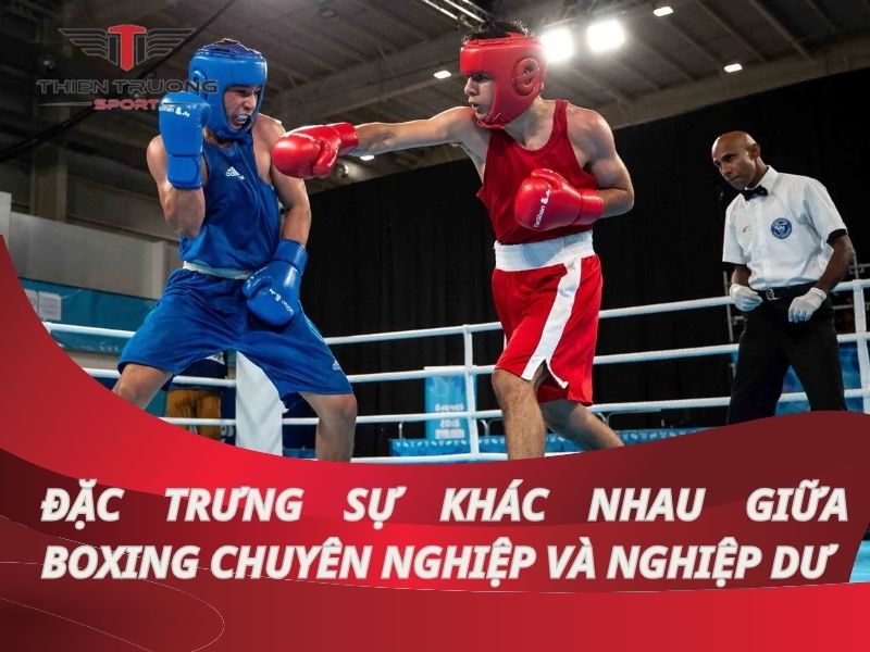 Sự khác nhau giữa boxing chuyên nghiệp và nghiệp dư