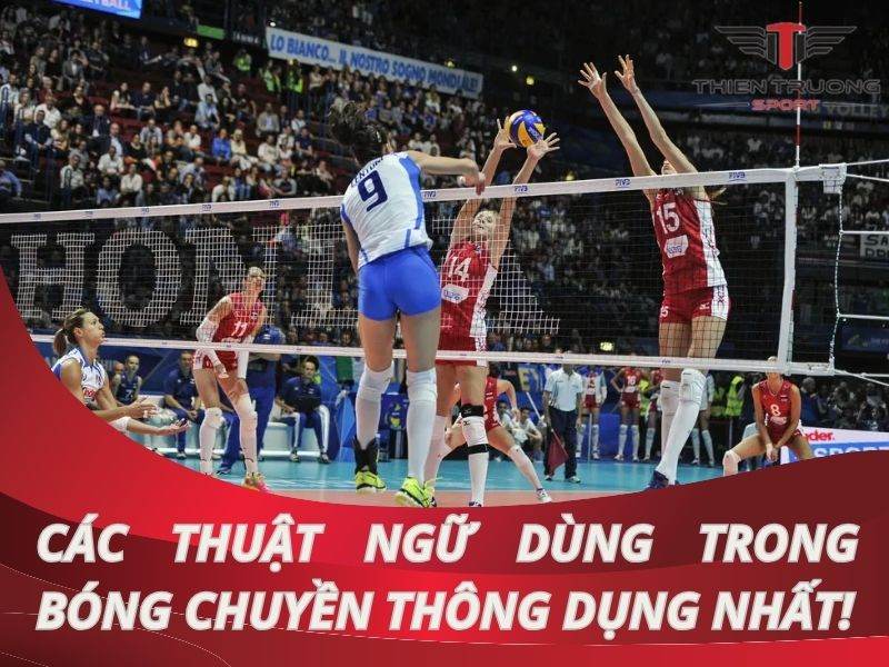 Tìm hiểu các thuật ngữ dùng trong bóng chuyền thông dụng nhất
