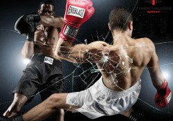 Boxing là gì? Tập Boxing như thế nào đúng cách và hiệu quả?