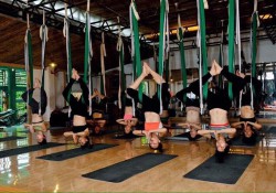 Các trung tâm tập Yoga ở Gò Vấp đầy đủ nhất cho người mới !