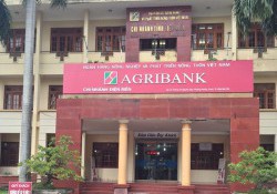 Thi công sân cầu lông tại ngân hàng Agribank chi nhánh Điện Biên