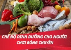 Chế độ dinh dưỡng cho người chơi bóng chuyền