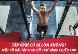 Tập Gym có bị lùn không? Một số bài tập Gym hỗ trợ tăng chiều cao