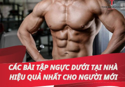 Các bài tập ngực dưới tại nhà hiệu quả tốt nhất cho người mới